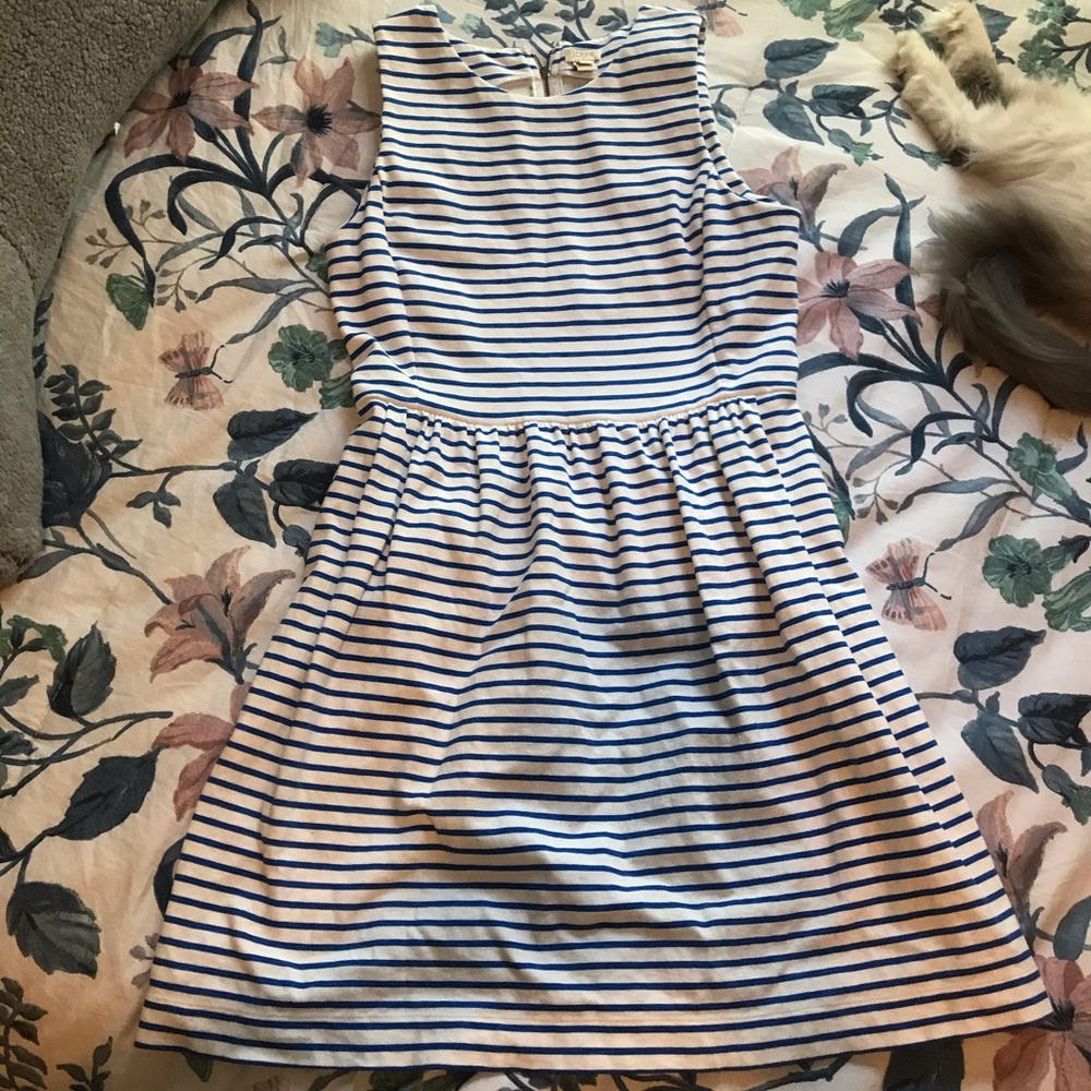 J. Crew Dress